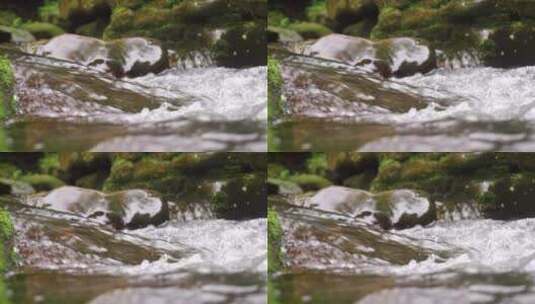 小河流水-水-水资源 溪流酒水河水高清在线视频素材下载