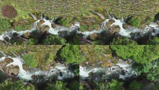 云南香格里拉普达措国家公园清幽溪谷高清在线视频素材下载