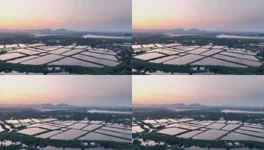 夕阳下的江南水乡水厂养殖鱼塘高清在线视频素材下载