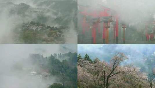 山雾云雾仙境山峦樱花林寺庙高清在线视频素材下载