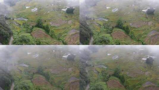 云南红河哈尼梯田云海日落雨幕高清在线视频素材下载