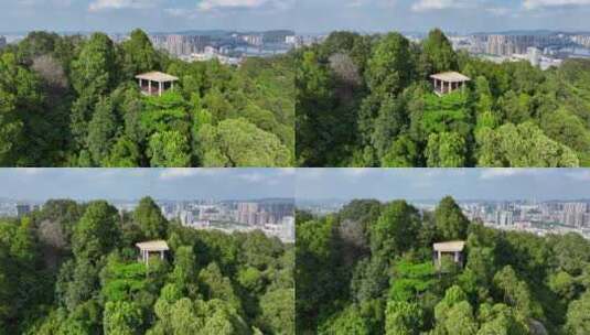 4K深圳市光明大雁山森林公园23高清在线视频素材下载