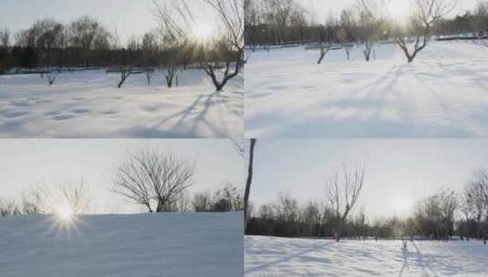 雪地雪景高清在线视频素材下载