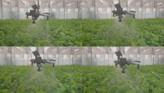 现代农业温室无人机灌溉高清在线视频素材下载