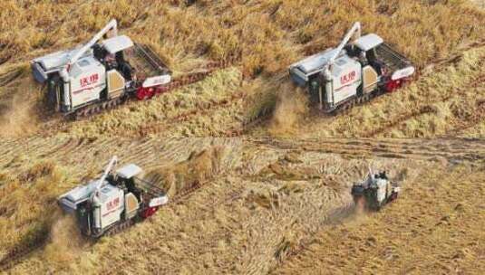 航拍乡村振兴 小麦收割高清在线视频素材下载