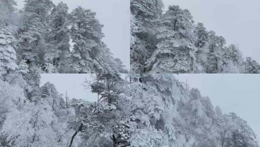 峨眉山雪山雪景高清在线视频素材下载