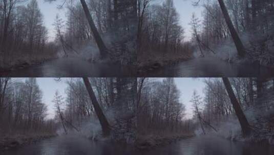 森林中雾气蒸腾的小溪高清在线视频素材下载