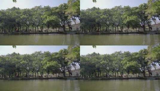 节假日湖边树木游人高清在线视频素材下载