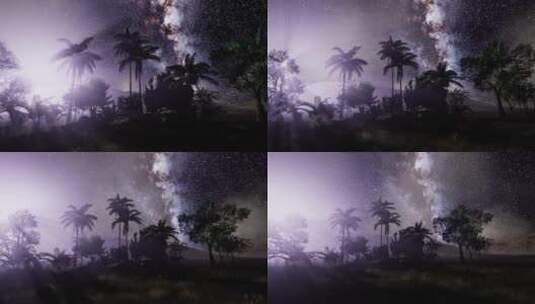 热带雨林上空的银河系 高清在线视频素材下载