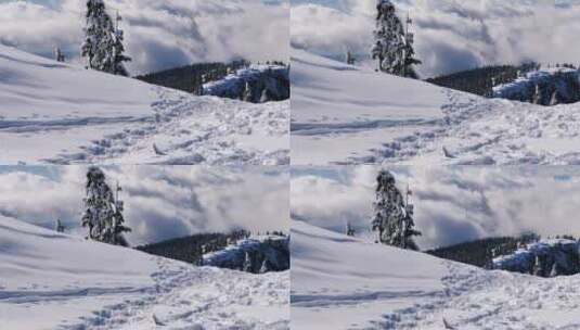 松林中白雪覆盖的小山高清在线视频素材下载