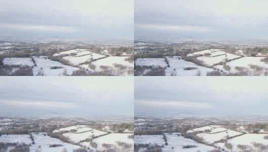 无人机拍摄飞越白雪覆盖的田野和树木高清在线视频素材下载