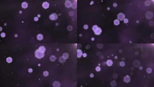 紫色曼陀罗花瓣飘飞LED唯美背景演绎视频高清在线视频素材下载
