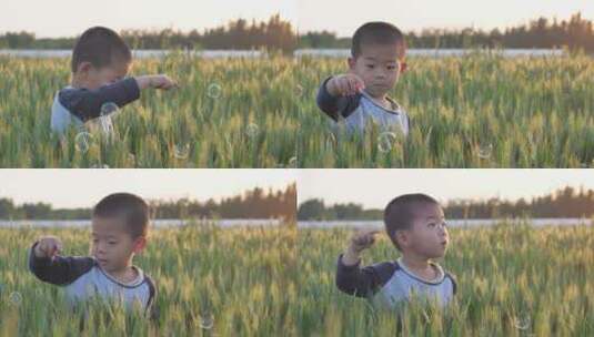 春天中国小朋友在麦田地中玩耍高清在线视频素材下载