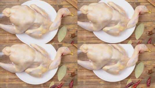 药膳全鸡食材4k平移镜头高清在线视频素材下载