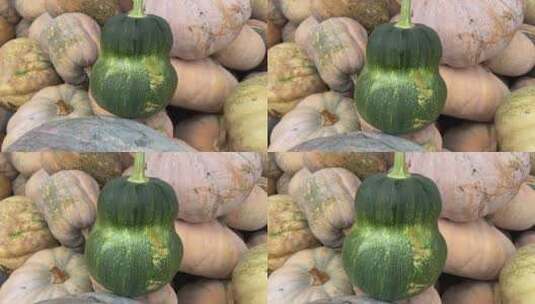 南瓜农家蔬菜4K实拍视频高清在线视频素材下载