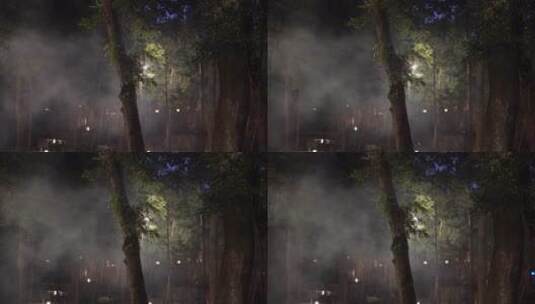 杭州灵隐寺夜晚烟雾缭绕祈福高清在线视频素材下载