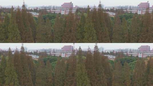 上海复旦大学雕像高清在线视频素材下载