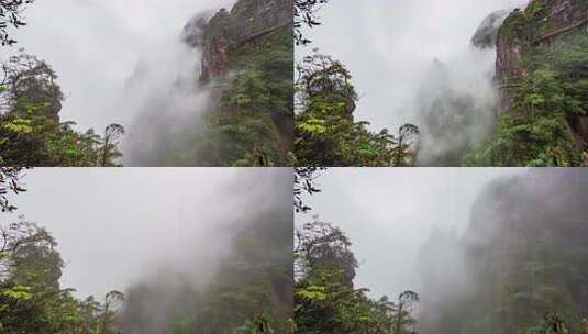 湖南郴州宜章莽山五指峰雨后云海高清在线视频素材下载