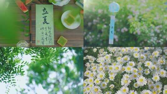 立夏 立夏节气 夏天 夏日 唯美夏天空镜高清在线视频素材下载