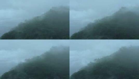 森林云雾缭绕高清在线视频素材下载