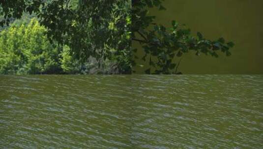 湖面湖水水波纹高清在线视频素材下载