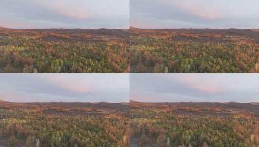 航拍内蒙达尔滨湖火山岩上的森林高清在线视频素材下载