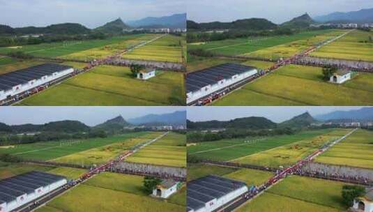 义乌廿三里农民丰收节活动 航拍高清在线视频素材下载