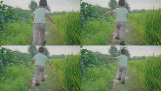 农村儿童在田埂上奔跑高清在线视频素材下载