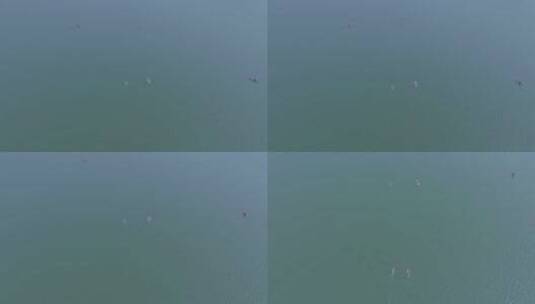 水上桨板救援队在清江·(3)高清在线视频素材下载