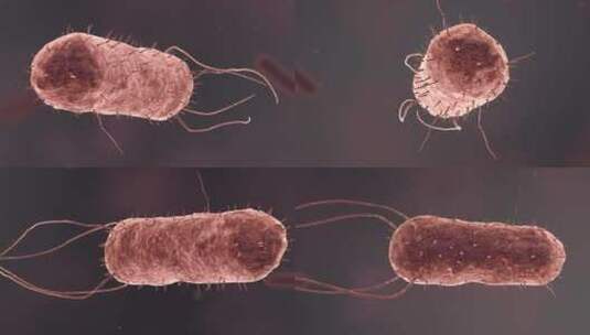 医学微观生物病毒细胞形态医疗三维动画展示高清在线视频素材下载