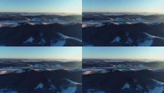航拍内蒙古林区林海雪原高清在线视频素材下载