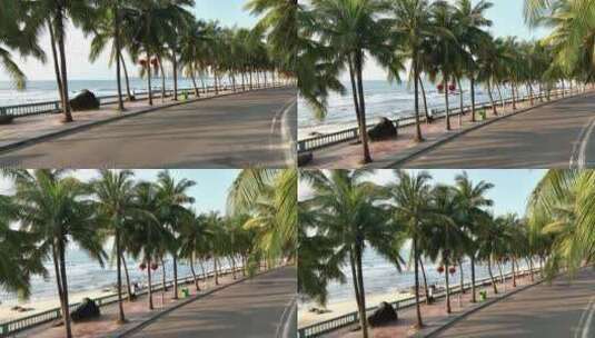 海边公路和椰树高清在线视频素材下载