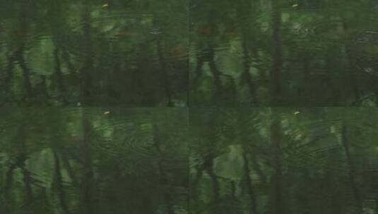 中式园林庭院红鱼空镜高清在线视频素材下载