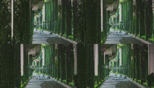 南京城市道路绿化高架下的爬墙虎高清在线视频素材下载