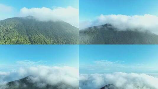 雨后森林航拍云海上升云层之上绿色清新空气高清在线视频素材下载