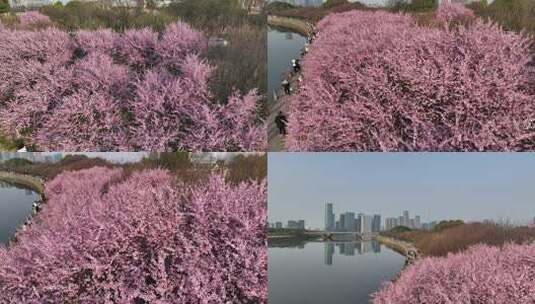 义乌航拍空镜高清在线视频素材下载