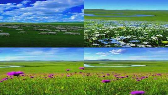 竖版-航拍草原牛群羊群高清在线视频素材下载