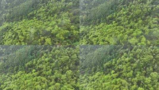 烟雨云雾缥缈的大山高清在线视频素材下载