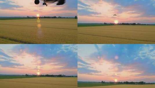 日落时起飞的飞机剪影高清在线视频素材下载