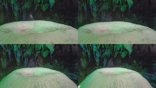 最美郴州万华岩溶洞地下河风光彩色钟乳石6高清在线视频素材下载