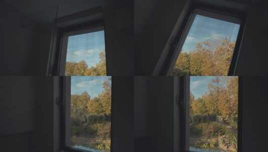 秋季窗外森林树林高清在线视频素材下载