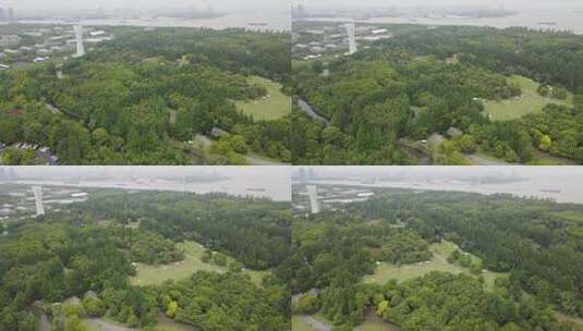 上海滨江森林公园4K原素材高清在线视频素材下载
