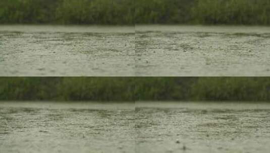 下雨水滴水珠涟漪池塘沼泽湿地高清在线视频素材下载