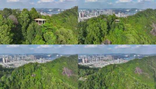 4K深圳市光明大雁山森林公园24高清在线视频素材下载
