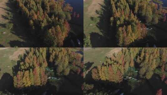 大理丽江洱海泸沽湖秋天秋景秋季航拍高清在线视频素材下载