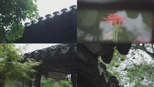 小雨中的南京瞻园素材高清在线视频素材下载