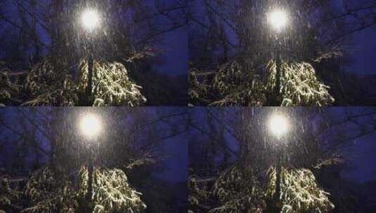 冬天夜晚路灯下大雪纷飞高清在线视频素材下载