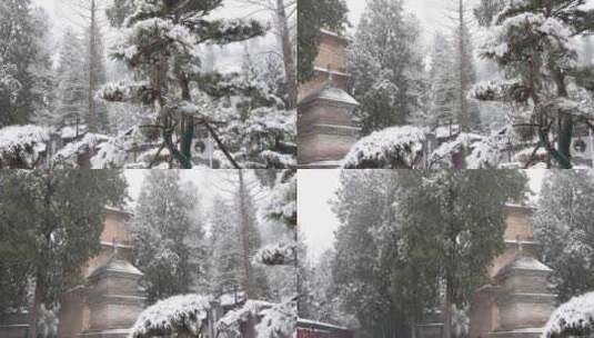 护国兴教寺 唐三藏寺院 唐僧寺院 雪景高清在线视频素材下载