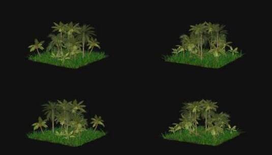 棕榈树自然场景，Alpha通道，循环旋转高清在线视频素材下载