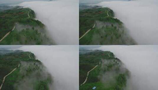 航拍四川乐山绿茶基地竹叶青峨眉雪芽茶山高清在线视频素材下载